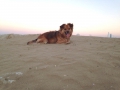 IMG-20150801-WA0012