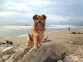 IMG-20150801-WA0013