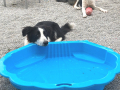 Ljube-Gallus-6.6.19
