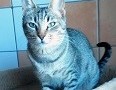 Mona-w-1.10.20
