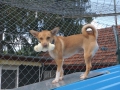 DSC00837a