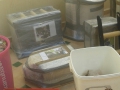 IMG-20141112-WA0005