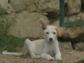 Moritz 16.08.2015 5