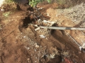 IMG-20141203-WA0002