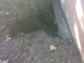 IMG-20141203-WA0013