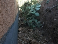 IMG-20141203-WA0018
