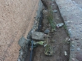 IMG-20141203-WA0059