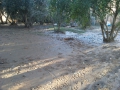 IMG-20141203-WA0060