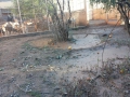 IMG-20141203-WA0076