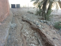 IMG-20141203-WA0078