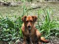 Luna-30.6.19