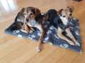 Caramo und Pägi