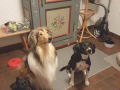 Marry-Lou und Mimi