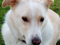 Mori ex Moritz