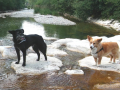 Schnufi und Annie
