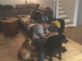 Wilma, Foxy ex Roxy, Sue und Camilla