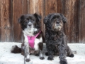 Ella (Lilly) und Josch Dez 16