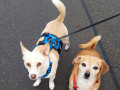 Elly-und-Tony-31.12.21-2