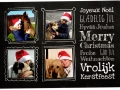 Sheila Weihnachtskarte