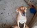 53742846-c775-4685-aaee-07314004b8bd