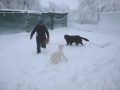 Nora 1.2.2015 6
