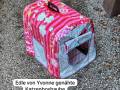 Katzenbox