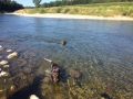 IMG-20150721-WA0008