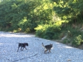 IMG-20150721-WA0009
