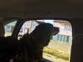 IMG-20150721-WA0010